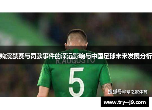 魏震禁赛与罚款事件的深远影响与中国足球未来发展分析